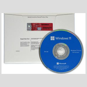 windows 11 home oem dvd